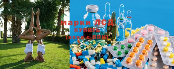 прущая мука Арсеньев