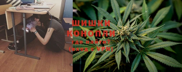 мяу мяу мука Аркадак