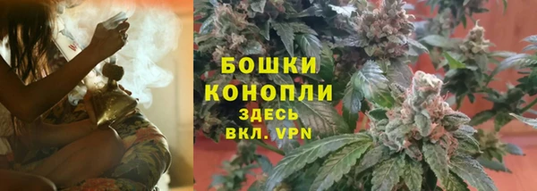 мяу мяу мука Аркадак