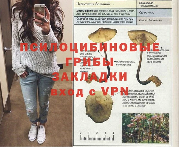дживик Армянск