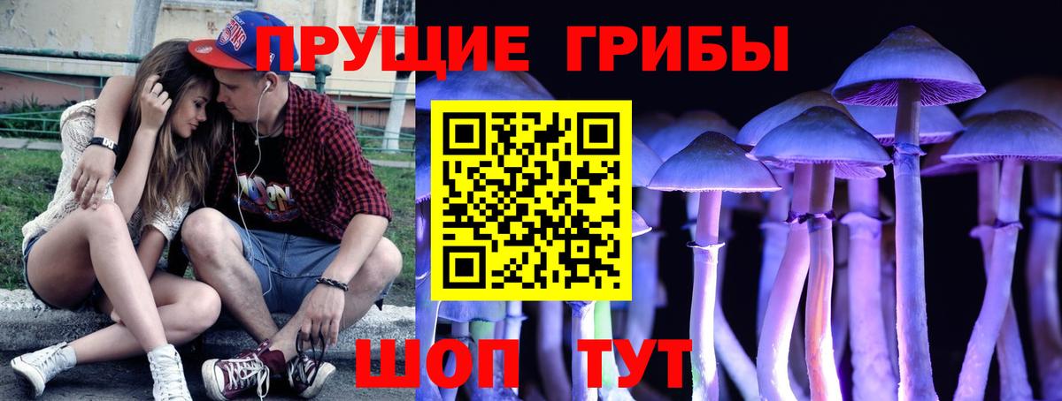 Галлюциногенные грибы ЛСД  Вход с VPN  Тейково 